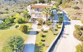 Villa Olive Grove